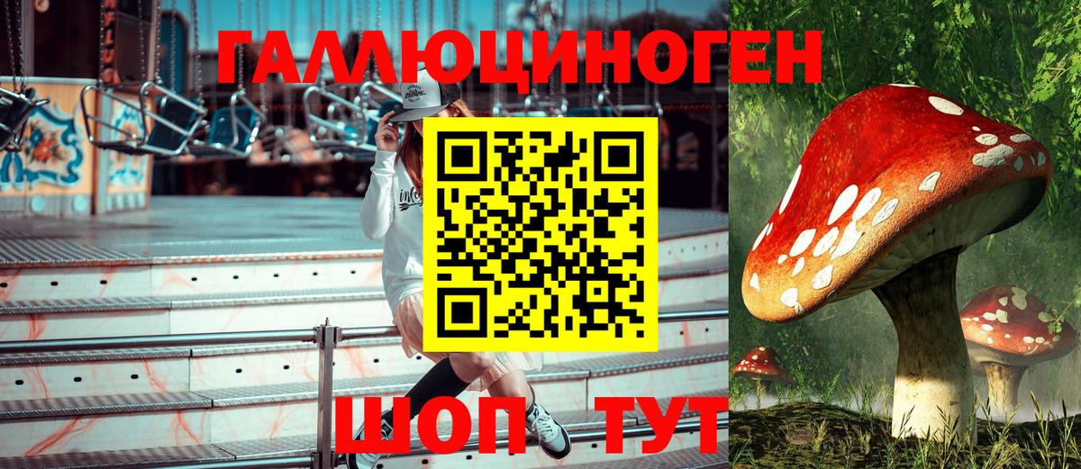 купить закладку  Псилоцибиновые грибы MAGIC MUSHROOMS  Калуга  Вход с VPN  Псилоцибиновые грибы Magic Shrooms 