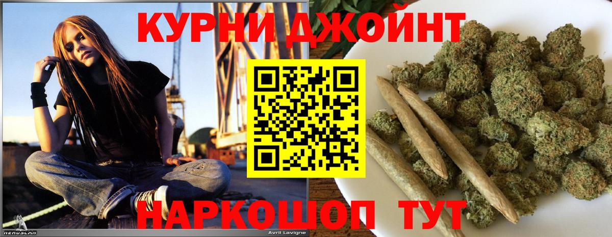 МАРИХУАНА план Калуга